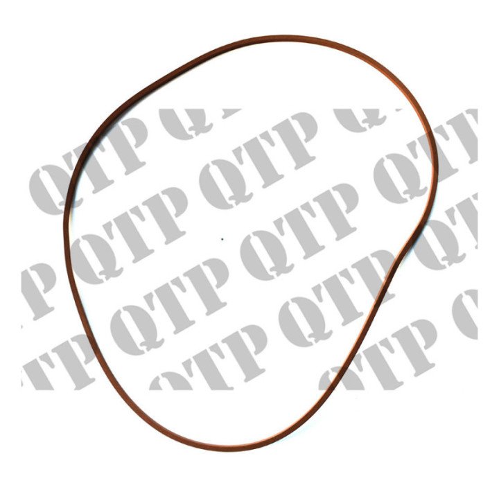 Pierścień uszczelniający tarczy hamulcowej