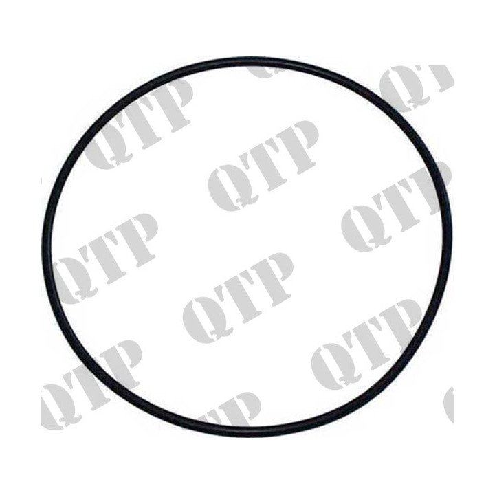 O-ring obudowy wejściowej