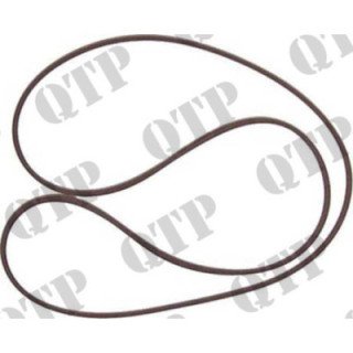 O-ring tarczy hamulcowej Ford Fiat