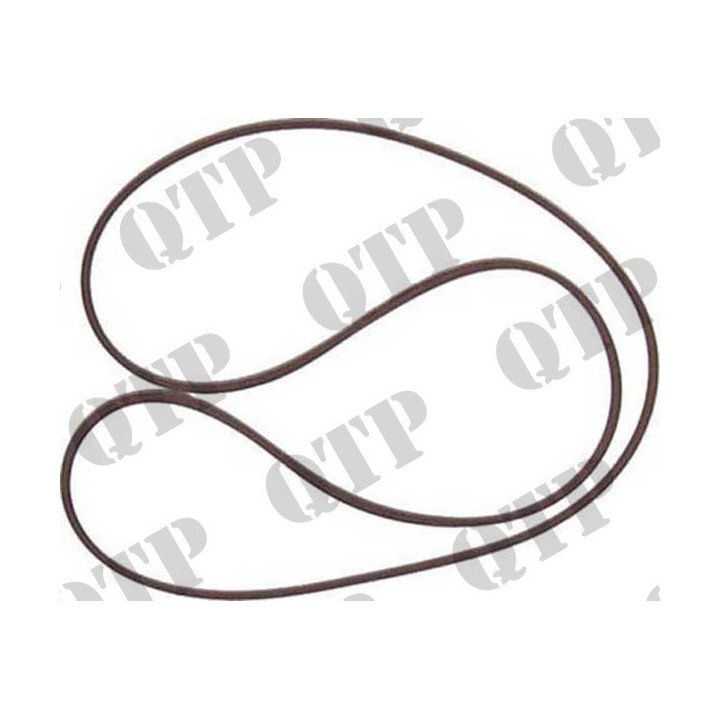 O-ring tarczy hamulcowej Ford Fiat